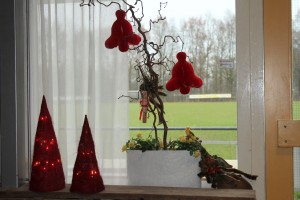foto: B. Wierenga