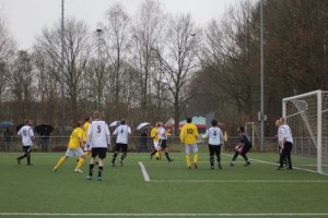 Kwiek in de aanval, foto B. Wieringa